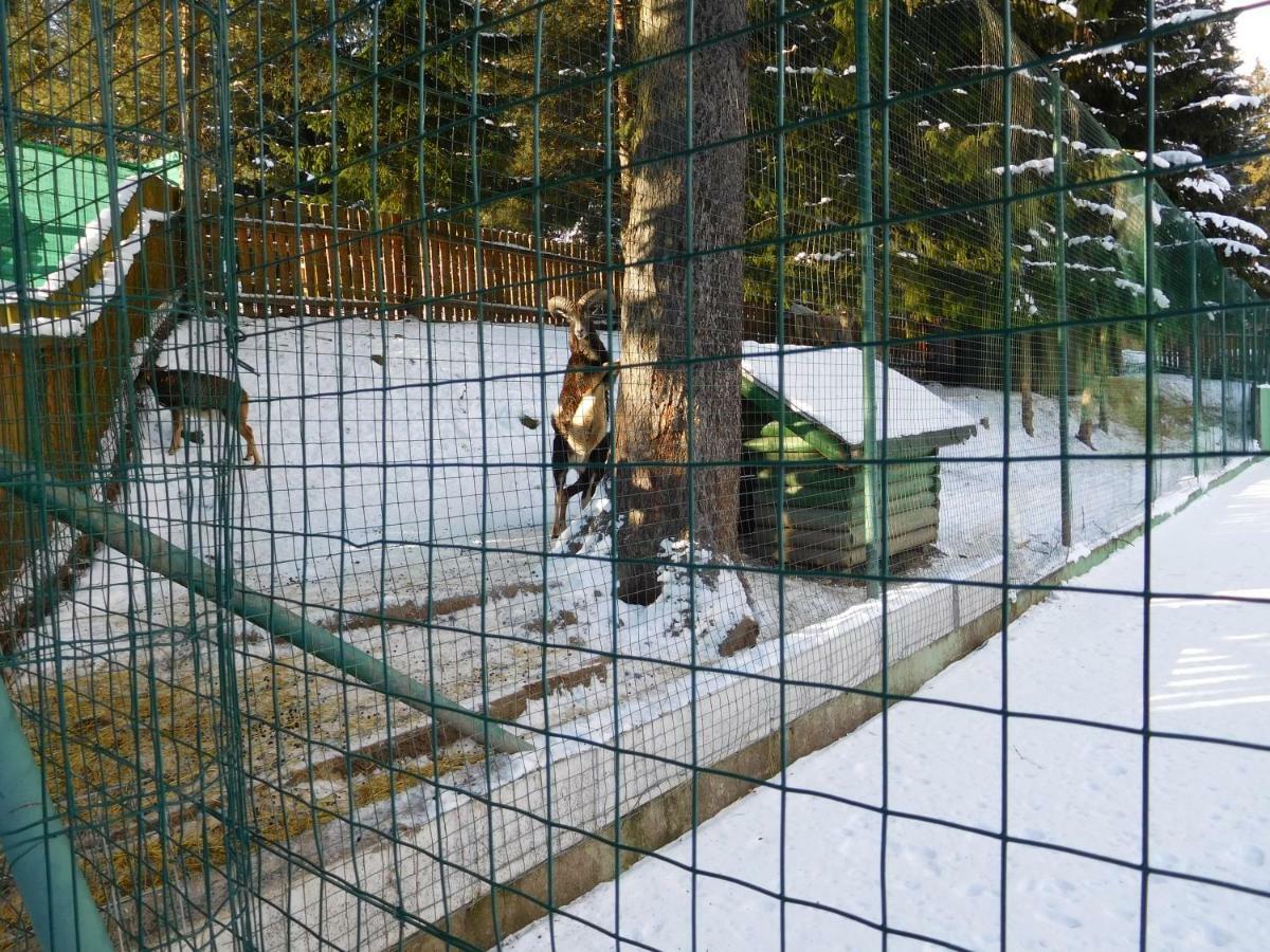 Apartmán High Tatras - Patris 27 Tatranská Štrba Exteriér fotografie