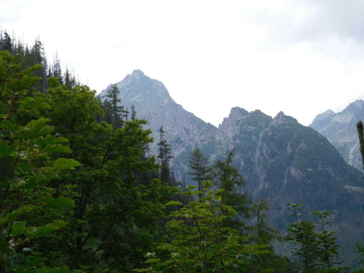Apartmán High Tatras - Patris 27 Tatranská Štrba Exteriér fotografie